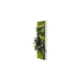 Tableau végétal gamme nature, rectangle L 25x 115 cm