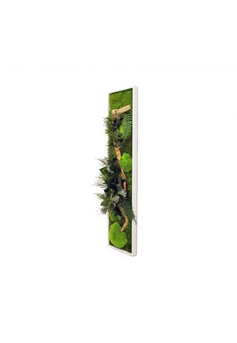Tableau végétal gamme nature, rectangle L 25  x 115 cm