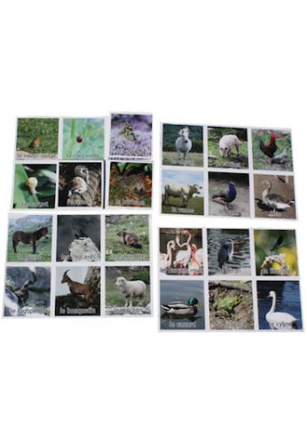 Loto nature les animaux