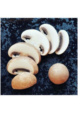 kit culture de champignons de paris blond BIO