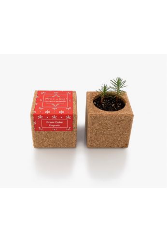 Grow Cube aimanté Sapin de Noël - boite rouge