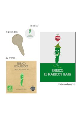 Mini kit de graines BIO d'Enrico le haricot