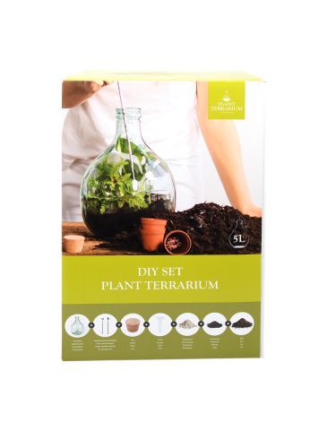 Terrarium végétal à faire soi même 5 litres