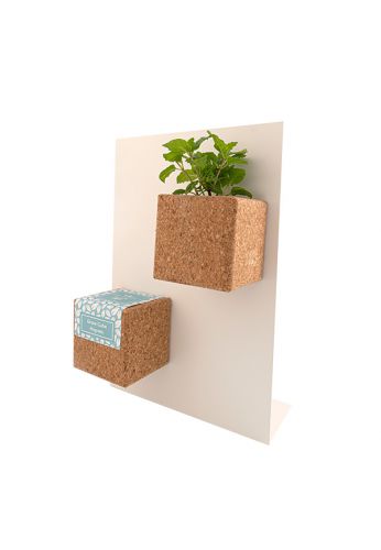 Grow Cube aimanté Sapin de Noël - boite rouge