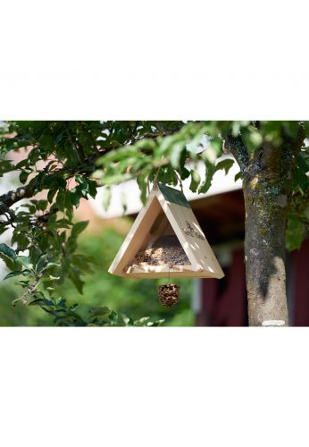 kit mangeoirepour oiseau