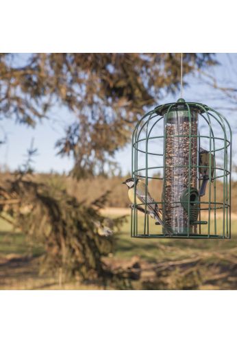 Mangeoire oiseaux pare-écureuils Mangeoire oiseaux pare-écureuils