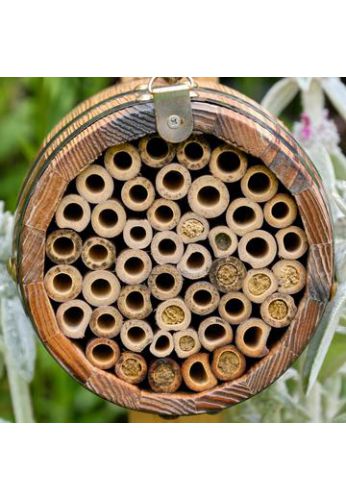 Abri pour abeilles pollinisatrices - Tonneau