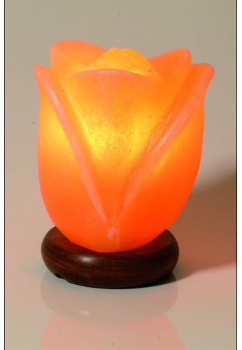 Lampe cristal de sel lotus