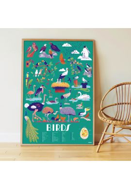 Poster découverte avec stickers Oiseaux