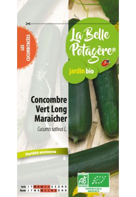 Concombre vert long maraicher 0.5 g