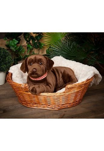 Peluche géant Labrador chocolat 60 cm