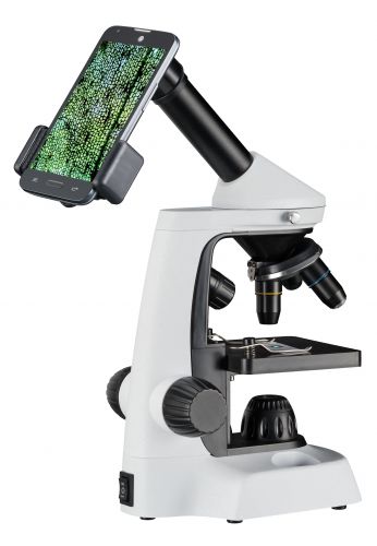 Microscpe 40x-2000x