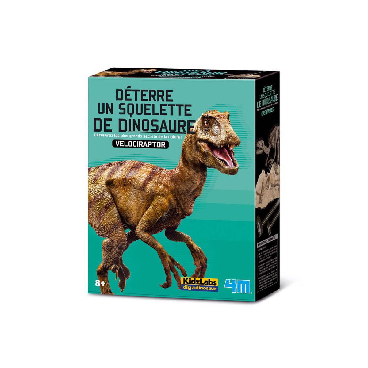 BSDHOME Vert Raptor Vélociraptor Dinosaure Dents en Colère Lézard Fou  Carnivore Griffes Taie d'Oreiller Taie d'Oreiller 18 X 18 Pouces Jeter des  Taies d'Oreiller 