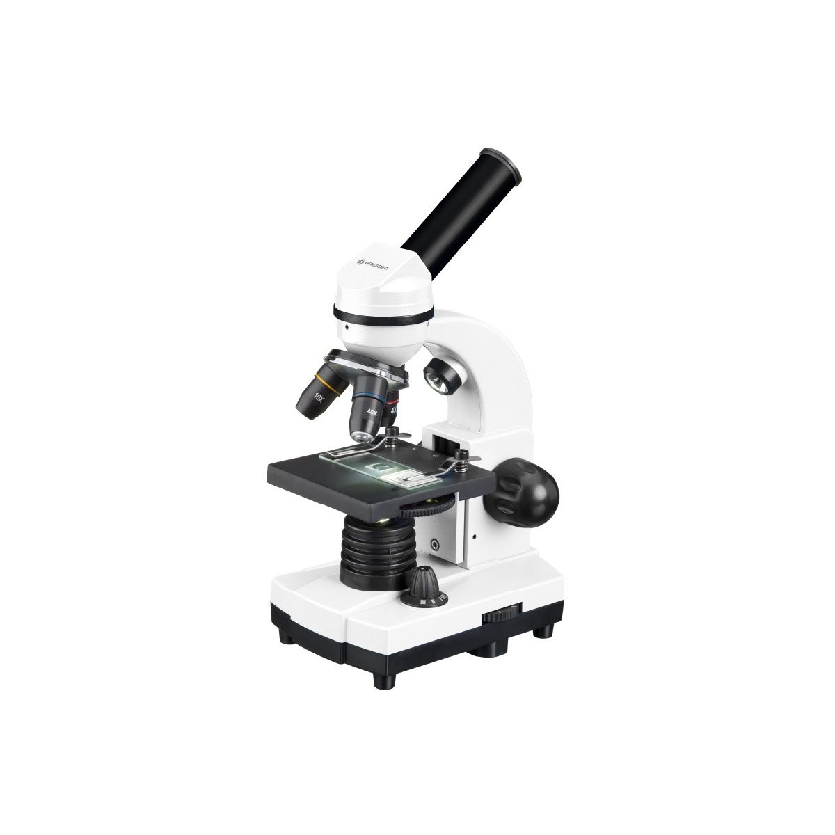 Microscope Optique l'Etudiant