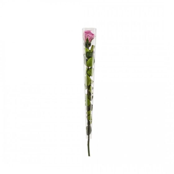 Rose en tige stabilisée Coloris lilas
