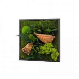 Tableau végétal CANOPEE carré 35 x 35 cm