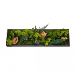 Tableau végétal CANOPEE Panoramic 70 x 20 cm