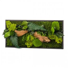 Tableau végétal CANOPEE rectangle 27 x 57 cm