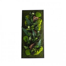 Tableau végétal CANOPEE rectangle 40 x 90 cm