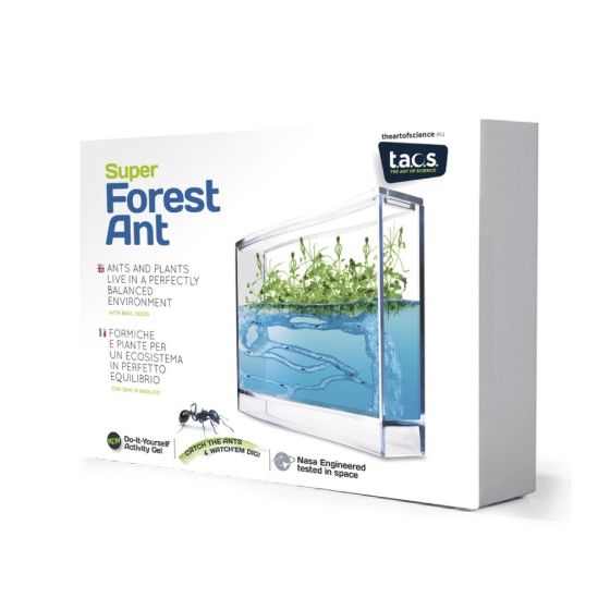 Kit Super fourmiliere forest