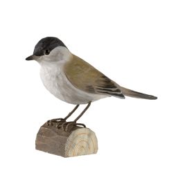 Décobird Fauvette à tête noire