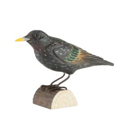 Decobird Etourneau sansonnet
