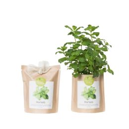 HYDROPLANETE Kit Pret à Pousser Mini-Potager Un Jardin dans ma Cuisine -  Mini-Serre avec 6 sachets de Graines Prêt-à-Arroser, Pots et Accessoires :  : Jardin