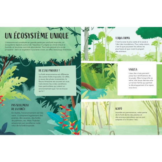 Puzzle Amazonie
