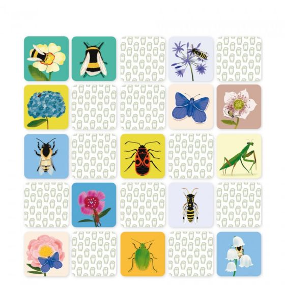 Mémo l'insecte et sa fleur