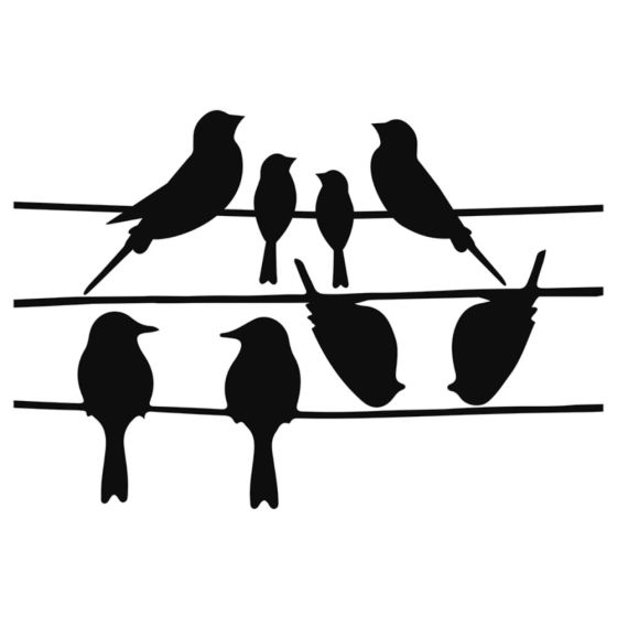 52 Autocollants Fenêtre Anti-collision Oiseaux - Prismatiques Arc-en-ciel - Sans Colle, Réutilisables - 30x22 Cm - Décoration Et Protection