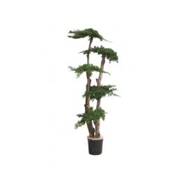 Arbre Juniperus stabilisé 160 CM