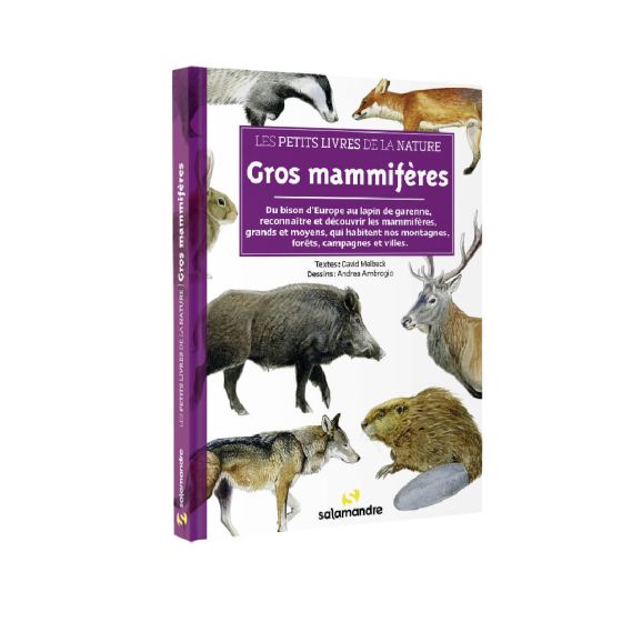 Les petits livres de la nature - Gros mammiferes Les petits livres de la nature - Gros mammiferes