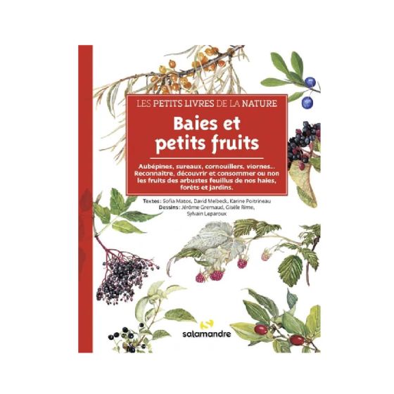 Les petits livres de la nature - Champignons des forets