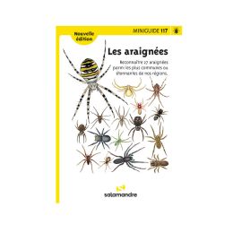Miniguide 117 - Les araignées