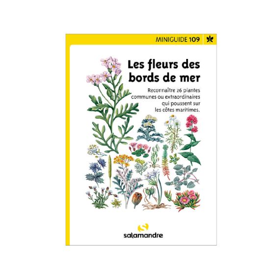 Miniguide 109 - Les fleurs des bords de mer