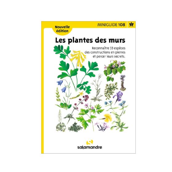 Miniguide 108 - Les plantes des murs