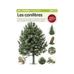 Miniguide 100 - Les coniferes