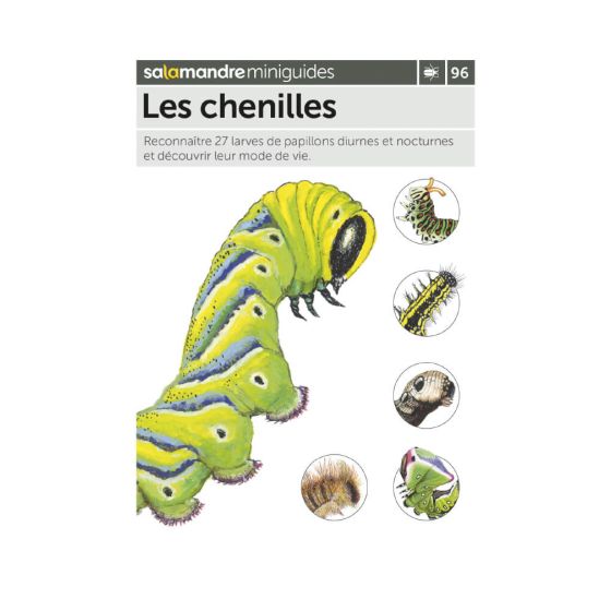 MINIGUIDE 96 LES CHENILLES