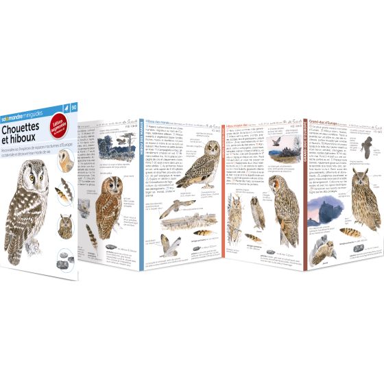 MINIGUIDE 90 CHOUETTES ET HIBOUX