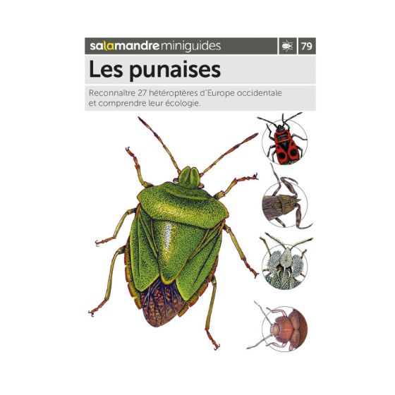 MINIGUIDE 79 LES PUNAISES