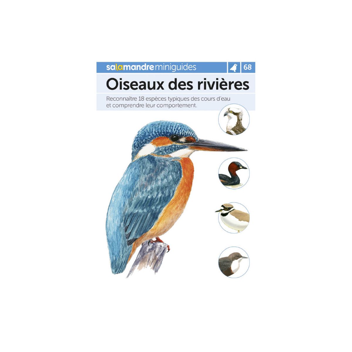 Miniguide 104 – Les nids d'oiseaux > Boutique - Salamandre