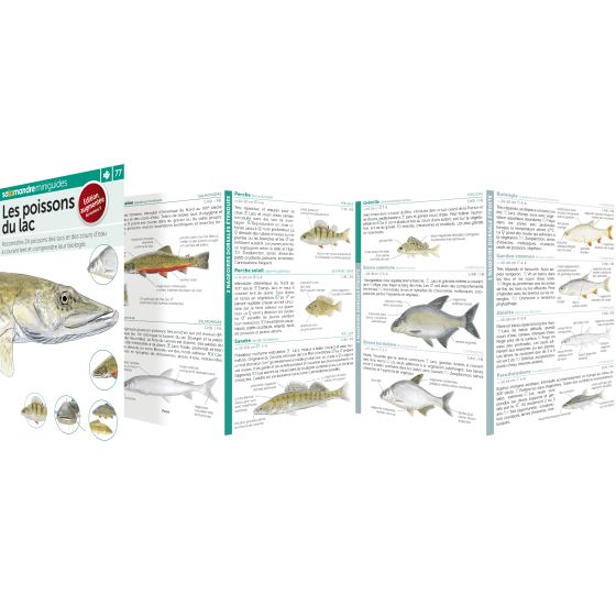 MINIGUIDE 77 LES POISSONS DU LAC