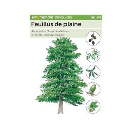 MINIGUIDE 60 FEUILLUS DE PLAINE