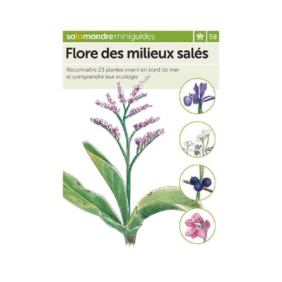 MINIGUIDE 58 FLORE DES MILIEUX SALES