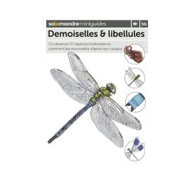 MINIGUIDE 56 DEMOISELLES ET LIBELLULES