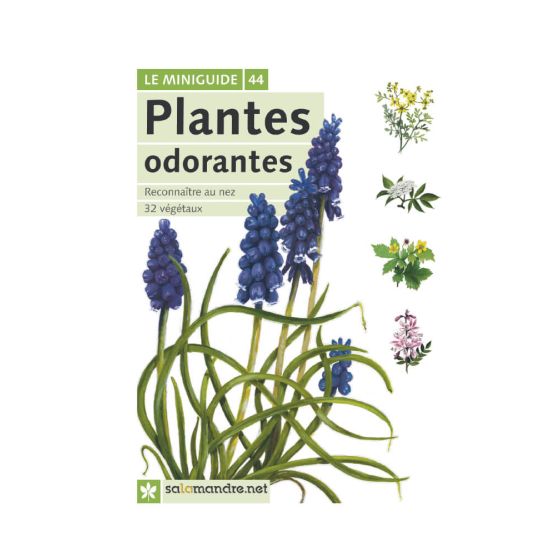 MINIGUIDE 44 PLANTES ODORANTES