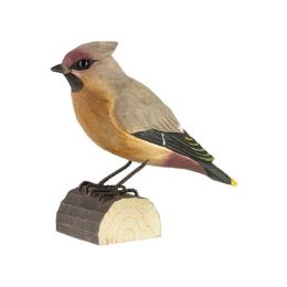 Décobird Jaseur boréal