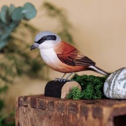 DecoBird Pie-grièche Écorcheur