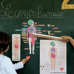 Corps humain et squelette - 45 cm - Buki Corps humain et squelette - 45 cm - Buki