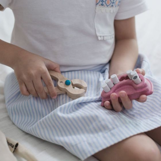 La trousse de dentiste